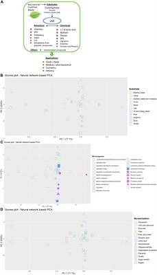 Valorization of Vegetable Food Waste and By-Products Through Fermentation Processes